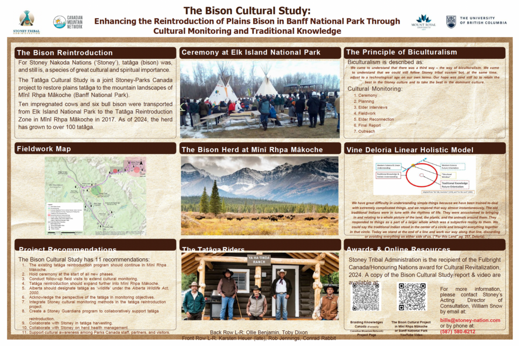 Bison Cultural Project - Banff National Park